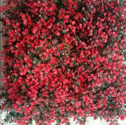गुणवत्ता  Artificial Wall Grass Natural Looking Low Maintenance Solution For Indoor Outdoor Spaces फैक्टरी