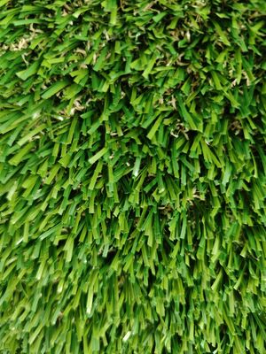 गैर-भरण हरा कृत्रिम घास पारदर्शी लेटेक्स 30 मिमी पीई और पीपी सामग्री थोड़ी रेत की आवश्यकता है जल निकासी छेद