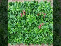 2025 नई ताइशान दीवार घास आपूर्तिकर्ता