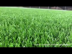 ताशान नया प्रोजेक्ट बेलीज़ आर्टिफिशियल स्पोर्ट्स टर्फ